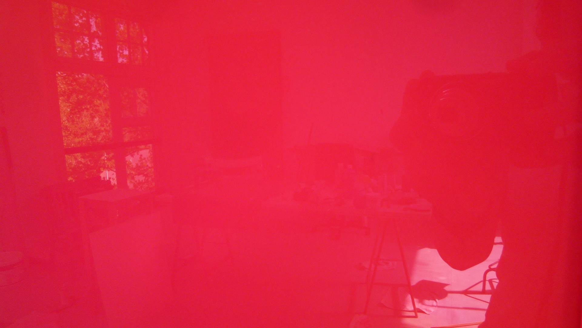 Photo of Beata Franso